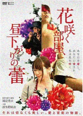 免费电影高清片源